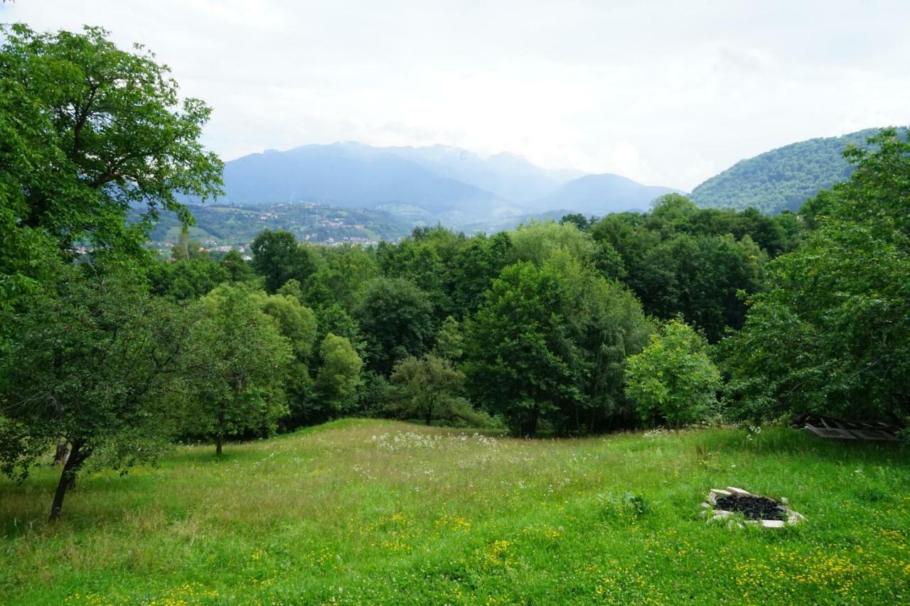 Pensiunea Bella Predelut Bran  Exterior photo